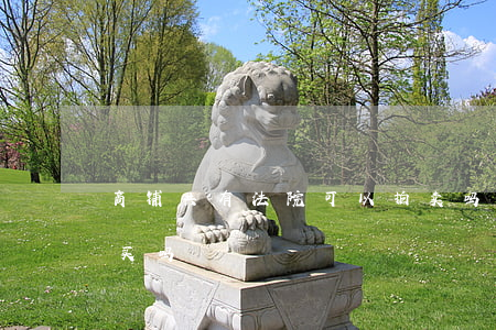 商铺共有法院可以拍卖吗(法院拍卖的商铺能买吗)