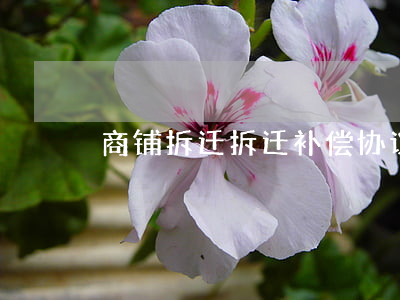 商铺拆迁,拆迁补偿协议应该跟谁签订