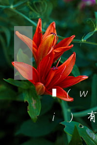 問(wèn)下要是本人欠信用卡沒(méi)有還完-問(wèn)下要是本人欠信用卡沒(méi)有還完怎么辦