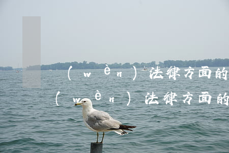 問(wèn)法律方面的問(wèn)題(問(wèn)法律方面的問(wèn)題用什么軟件)