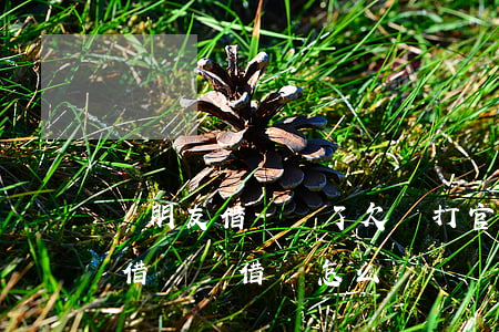 問朋友借錢寫了欠條打官司能贏嗎-問朋友借錢寫借條怎么寫