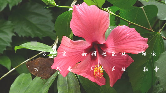 問男友要錢如何避免敲詐勒索，對(duì)方問我要錢算不算敲詐勒索