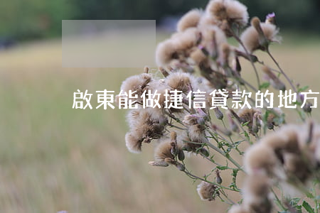 啟東能做捷信貸款的地方(啟東貸款公司)