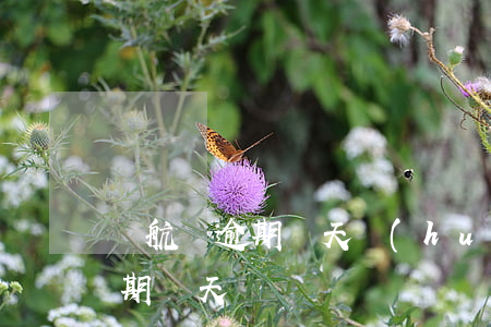 啟航貸逾期幾天會(huì)起訴（啟航貸逾期幾天）