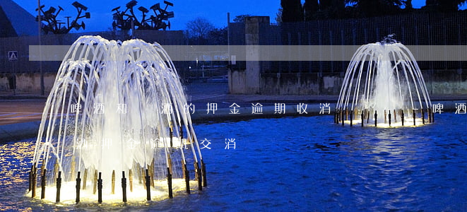 啤酒和黃酒的押金逾期收消費稅嗎-啤酒黃酒押金逾期交消費稅嗎