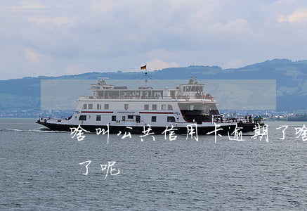 啥叫公共信用卡逾期了(啥叫公共信用卡逾期了呢)