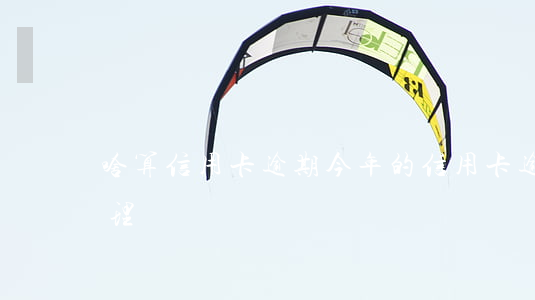 啥算信用卡逾期(今年的信用卡逾期有什么處理)
