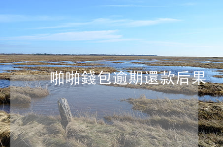 啪啪錢包逾期還款后果