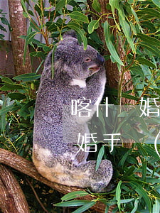 喀什離婚時間規(guī)定(喀什民政局離婚手續(xù)流程)