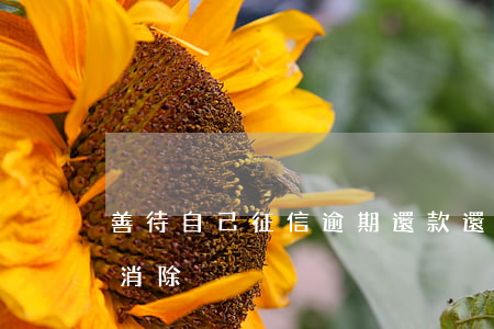 善待自己征信逾期還款(還款逾期后征信怎么消除)