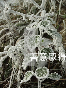 善意取得的構(gòu)成要件