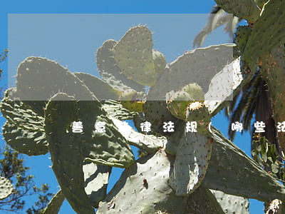 善意法律法规(哪些法律规定善意取得)