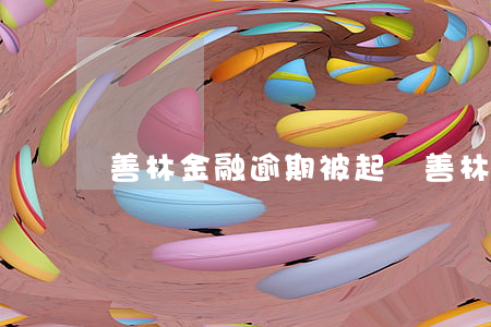 善林金融逾期被起訴(善林金融賠償)