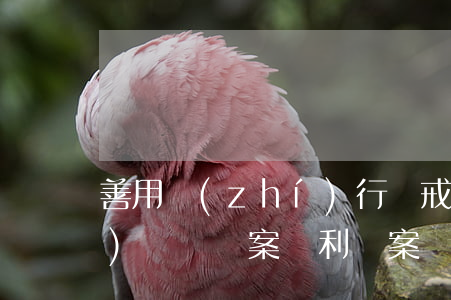 善用執(zhí)行懲戒措施，經(jīng)濟糾紛案順利結案