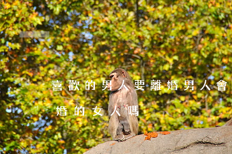 喜歡的男人要離婚(男人會(huì)喜歡離婚的女人嗎?)