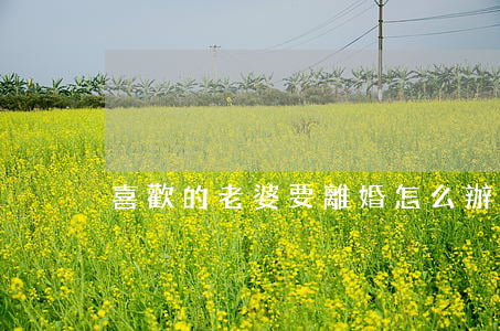 喜歡的老婆要離婚怎么辦