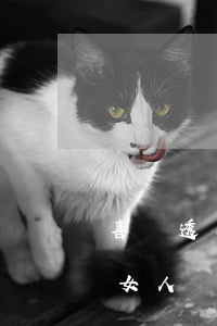 喜歡透支信用卡消費的女生(喜歡用信用卡的女人)