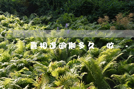 喜相逢逾期多久會收車-喜相逢逾期會怎樣