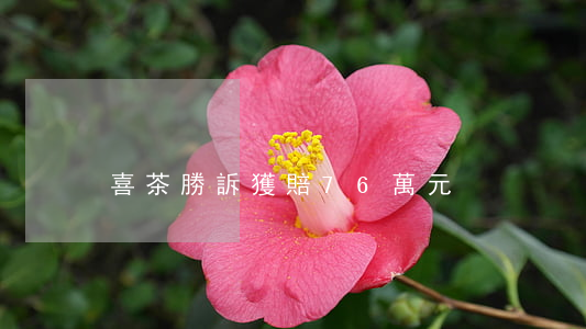 “喜茶”勝訴獲賠76萬元！