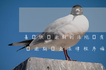 喜鵲快貸逾期到法院會有什么后果-喜鵲快貸逾期會走法律程序嘛