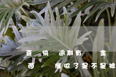 喜鵲快貸逾期有違約金嗎(喜鵲快貸逾期了,后面沒見催收了,是不是被代償了)