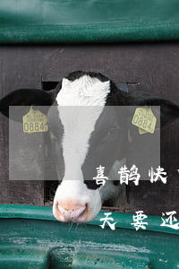 喜鹊快贷5000逾期三年 喜鹊快贷逾期一天要还两期