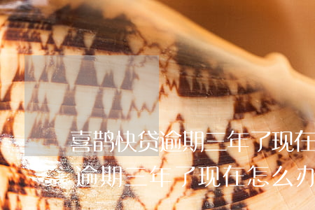 喜鹊快贷逾期三年了现在怎么办-喜鹊快贷逾期三年了现在怎么办呢