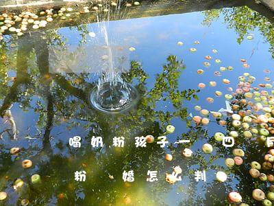 喝奶粉孩子一歲四個月離婚判給誰(小孩吃奶粉離婚怎么判)