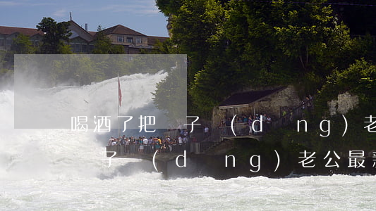喝酒了把兒子當(dāng)老公(喝酒了把兒子當(dāng)老公最新章節(jié))
