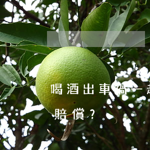 喝酒出車禍一起喝酒的承擔(dān)多少賠償？