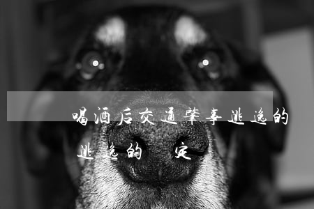 喝酒后交通肇事逃逸的認定(喝酒后交通肇事逃逸的認定)