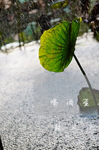 喝酒至人死亡多少錢(qián)案例(喝酒致人死亡的案例)