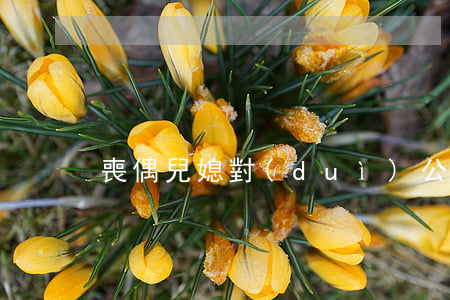 喪偶兒媳對(duì)公婆是什么繼承人