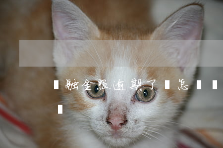 喬融金服逾期了會怎樣（喬融金服逾期了會怎樣）