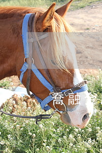 喬融金服逾期利息(喬融金服還需要還款嗎)