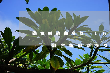 喬融金服逾期多久會(huì)給家里打電話-喬融金服逾期多久會(huì)給家里打電話催收