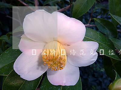 單位介紹信范文(單位介紹信范文例子)