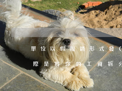 單位以“假報銷”形式發(fā)放員工工資，實際是將你的工資拆分了！