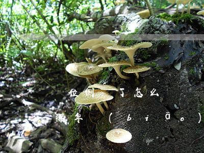 單位倒閉了怎么賠償(單位倒閉了怎么賠償按那年標(biāo)準(zhǔn)補(bǔ)償)