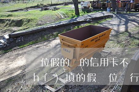單位假的辦的信用卡不還錢(辦信用卡時(shí)填的假單位 銀行會(huì)起訴嗎)