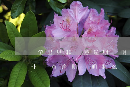 單位出具非惡意逾期證明怎么開-單位出具非惡意逾期證明怎么開具