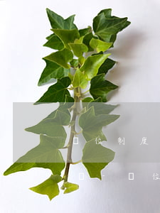 單位制度規(guī)定未休年休假逾期作廢-單位制度規(guī)定未休年休假逾期作廢了嗎