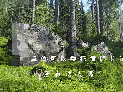 單位可以委托律師見法人嗎(律師事務(wù)所有法人嗎)