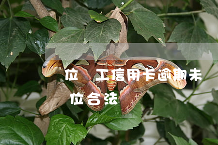 單位員工信用卡逾期未還(信用卡逾期上工作單位合法嗎)