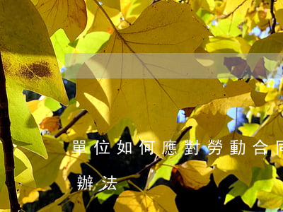 單位如何應對勞動合同糾紛(勞動糾紛的解決辦法)