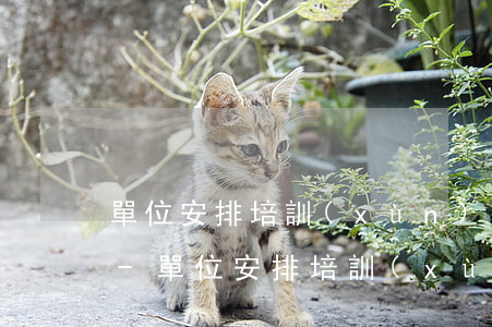 單位安排培訓(xùn)耽誤還款造成逾期-單位安排培訓(xùn)耽誤還款造成逾期違法嗎