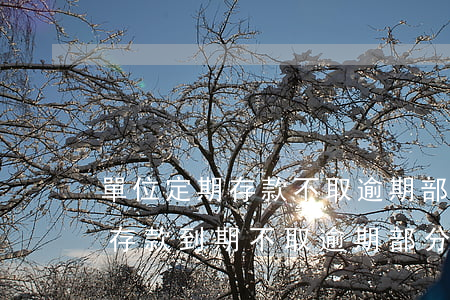 單位定期存款不取逾期部分支取-單位定期存款到期不取,逾期部分