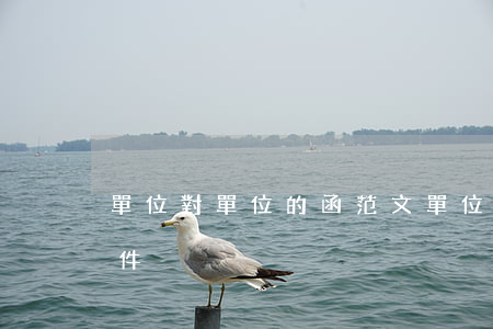 單位對單位的函范文(單位對單位的函范文附件)