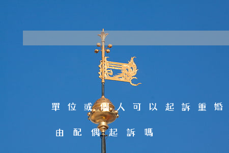 單位或個人可以起訴重婚罪嗎(重婚罪一定要由配偶起訴嗎)