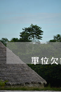 單位欠錢怎么打官司(單位欠錢不給怎么投訴)